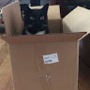 Meet your Posher, Angel